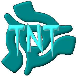 TNT Disco